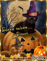 halloween chat - GIF animado grátis