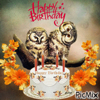 birthday owl Animated GIF