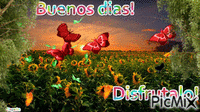 Buenos dias - Bezmaksas animēts GIF