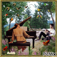 pianiste sur le rocher - Free animated GIF