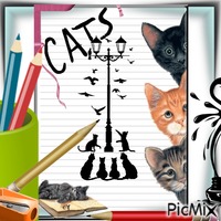 Cats - drawing - GIF animado grátis