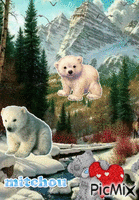 ours - GIF animé gratuit