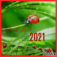 Viel Glück 2021 - Безплатен анимиран GIF