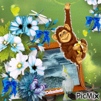 opice animált GIF