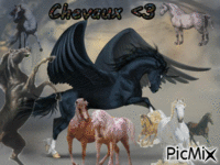 Chevaux - GIF animasi gratis