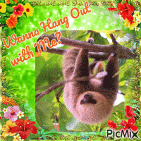 Hanging Out with Sloth - GIF เคลื่อนไหวฟรี