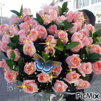 bouquet de roses - Free animated GIF