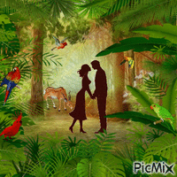 Cita en el bosque animovaný GIF
