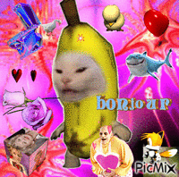 Banana cat GIF animé