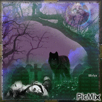 life in the night cemetery анимиран GIF