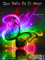 Mariposa bella - Free animated GIF