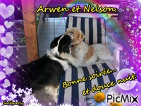Arwen et Nelson animovaný GIF