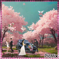 spring wedding - Bezmaksas animēts GIF