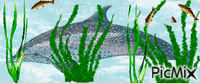 algue - Бесплатный анимированный гифка
