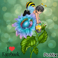 facebook Animated GIF