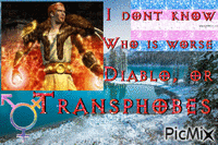 Diablo 2 druid says trans rights Animated GIF