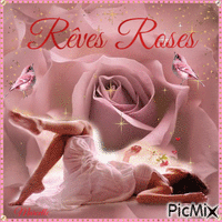 🌟😘RÊVES ROSES😘🌟 - Free animated GIF