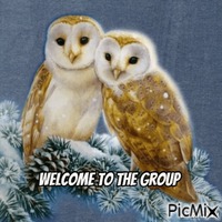 welcome owl GIF แบบเคลื่อนไหว