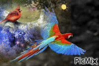 aves volando - GIF animate gratis