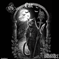 Gotische Katze - Animovaný GIF zadarmo