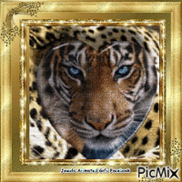 Tiger Animation анимиран GIF