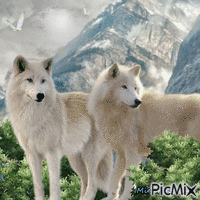 Nos amis les loups animovaný GIF