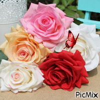 trandafirii - GIF animé gratuit