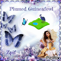 Plumed guineafowl - GIF animasi gratis