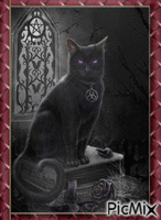 Gothic cat - Gratis geanimeerde GIF
