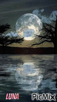 luna - Zdarma animovaný GIF