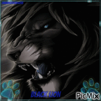 Black Lion - Gratis animerad GIF