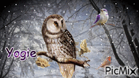au chant des oiseaux - GIF animate gratis