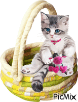 košík a kočka animovaný GIF