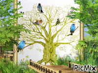 Birds - Darmowy animowany GIF
