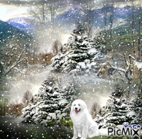 თოვს - Zdarma animovaný GIF