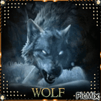 Wolf анимированный гифка
