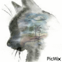 tête de chat nuageux GIF animata