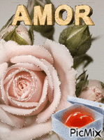 amor 15 - Бесплатный анимированный гифка