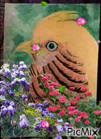 My Bird - Darmowy animowany GIF