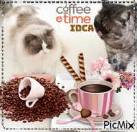 Café   chat animovaný GIF