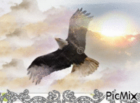 Aigle - 無料のアニメーション GIF