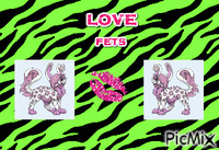 love pets - 免费动画 GIF