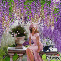 wisteria - Ingyenes animált GIF
