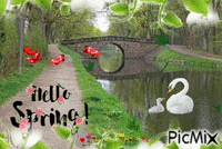 Hello Spring!  🙂 - GIF animé gratuit