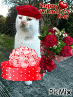 Valentine's OSCAR - Bezmaksas animēts GIF