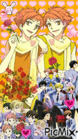 Ouran host club アニメーションGIF