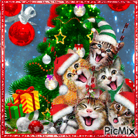 Joyeux chat de Noël - Безплатен анимиран GIF