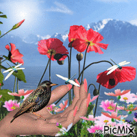 Une belle nature :) - GIF animasi gratis