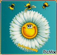 mrkací kopretina-včelky animeret GIF