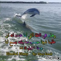 By: Mary Emad анимиран GIF